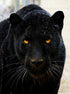 Black Panther - Paint by Diamonds